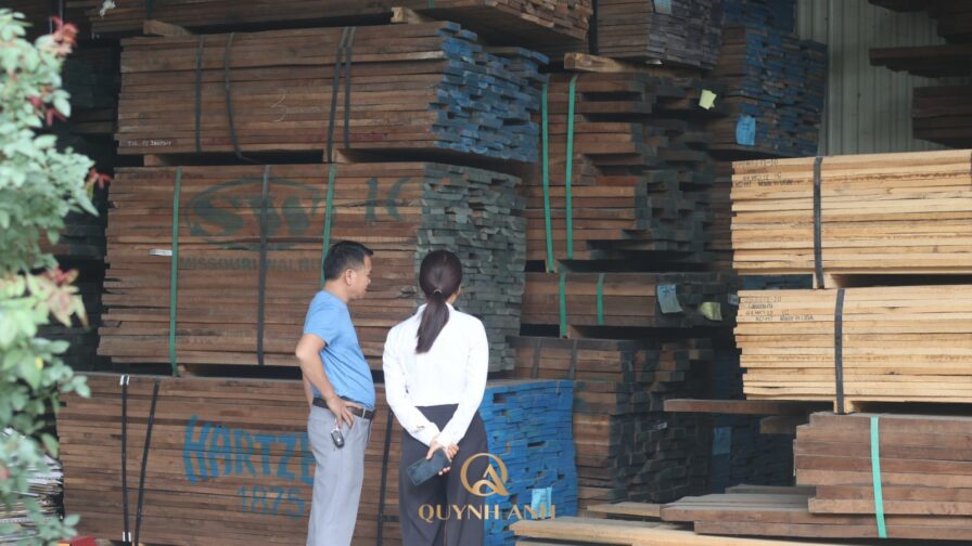 Gỗ óc chó có bị mối mọt không? Những điều gia chủ cần hiểu rõ